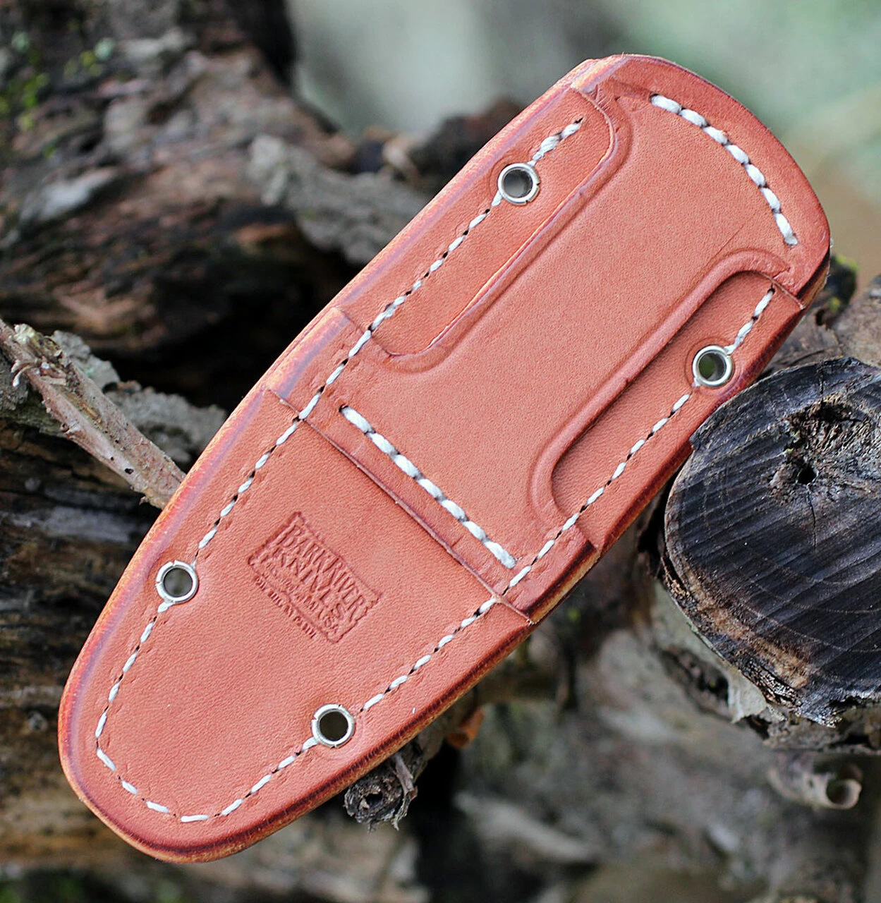 Bark River Knives Rascal II-BA14152MBC, 3.0" CPM 154, Black Canvas Micarta Handle 3 Bark River Knives Rascal II-BA14152MBC, 3.0" CPM 154, Black Canvas Micarta Handle - Image 3