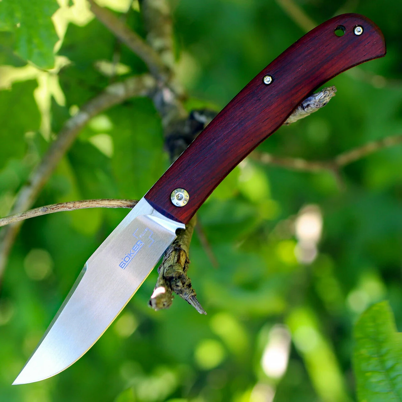 Boker Plus 01BO069 Slack, 3.2" VG-10 Plain Blade, Cocobolo Handle 1 Boker Plus 01BO069 Slack, 3.2" VG-10 Plain Blade, Cocobolo Handle