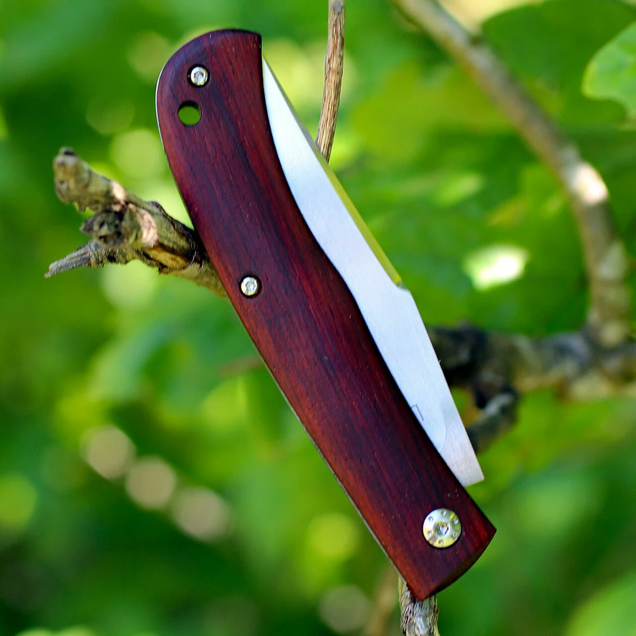 Boker Plus 01BO069 Slack, 3.2" VG-10 Plain Blade, Cocobolo Handle 2 Boker Plus 01BO069 Slack, 3.2" VG-10 Plain Blade, Cocobolo Handle - Image 2