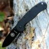 BRK Avispa BRK1302B, 3.5", Black D2 Steel, Plain Edge, Drop Point, Design by Esee Knives, Black Nylon handles