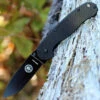 BRK Avispa Folder, Carbon Fiber / G10 handles, Black EDP Coated D2 Steel, Plain Edge, Design by Esee Knives,
