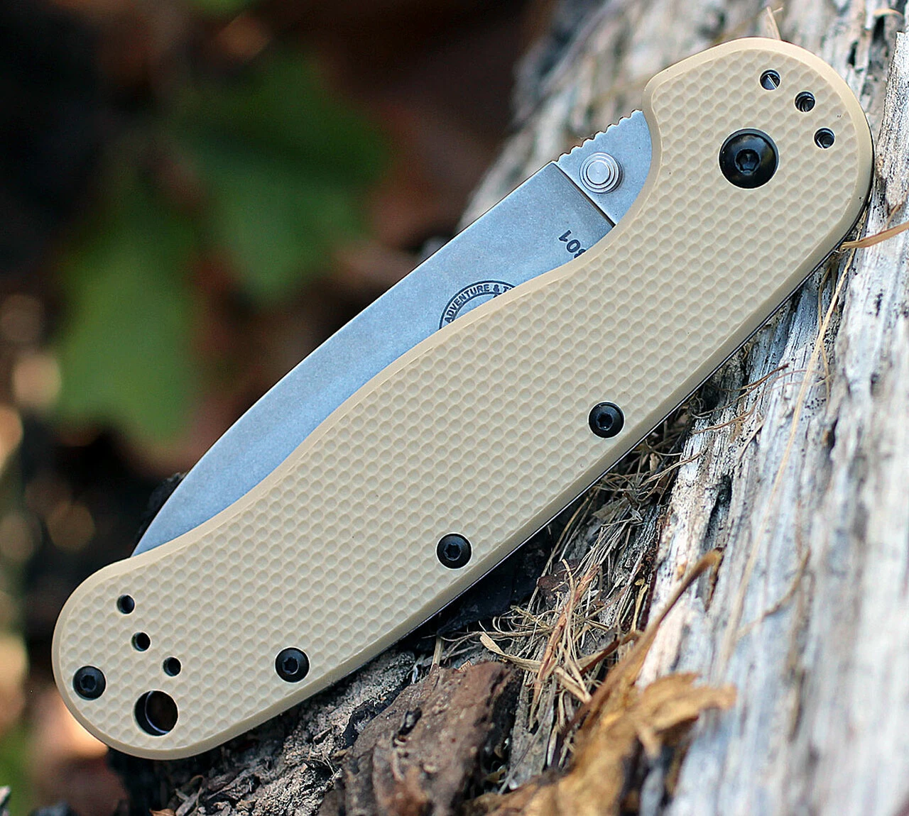 BRK Avispa 1302DT, 3.5", Stonewash D2 Steel, Plain Edge, Drop Point, Design by Esee Knives, Desert Tan Nylon handles 3 BRK Avispa 1302DT, 3.5", Stonewash D2 Steel, Plain Edge, Drop Point, Design by Esee Knives, Desert Tan Nylon handles - Image 3