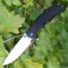 Artisan Cutlery Artisan Tradition ATZ1702PBK, 3.94" D2 Plain Blade, Black G-10 Handle