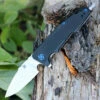 Artisan Cutlery Artisan Predator ATZ1706PBK, 3.74" D2 Steel, Black G-10 Handle