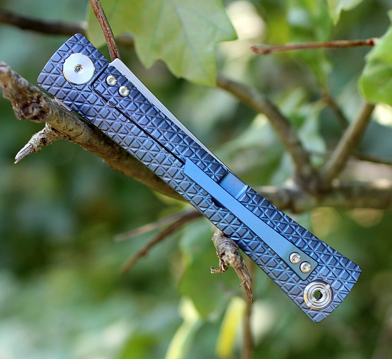 Artisan Cutlery Artisan ATZ1805GBUM S Waistline, 4" M390 Plain Blade, Blue Titanium Handle 3 Artisan Cutlery Artisan ATZ1805GBUM S Waistline, 4" M390 Plain Blade, Blue Titanium Handle - Image 3