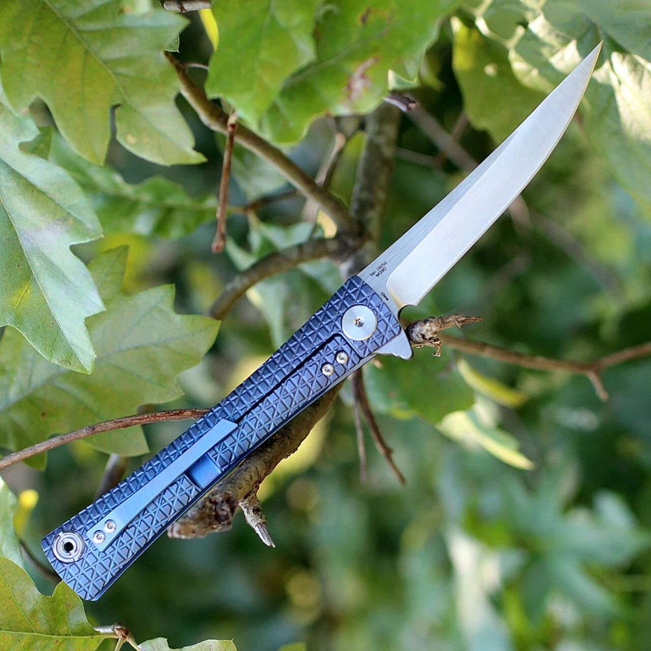 Artisan Cutlery Artisan ATZ1805GBUM S Waistline, 4" M390 Plain Blade, Blue Titanium Handle 2 Artisan Cutlery Artisan ATZ1805GBUM S Waistline, 4" M390 Plain Blade, Blue Titanium Handle - Image 2