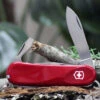 Victorinox Swiss Army Evolution 10 Swiss Army Knife, 13 Functions, Red