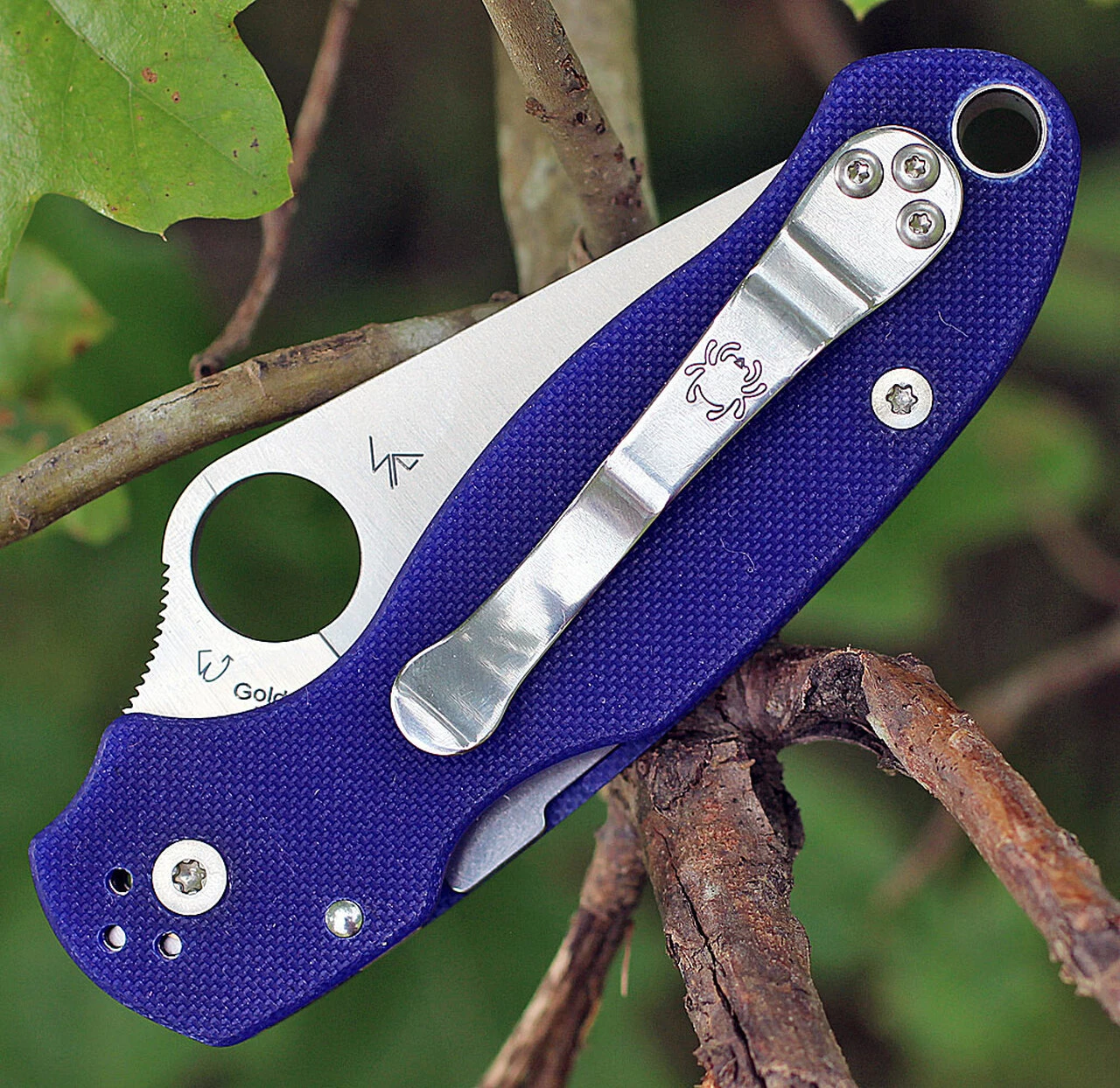 Spyderco Knives Spyderco Para-Military 3 G-10 Dark Blue C223GPDBL, 2.95" CPM S110V Plain Blade 4 Spyderco Knives Spyderco Para-Military 3 G-10 Dark Blue C223GPDBL, 2.95" CPM S110V Plain Blade - Image 4