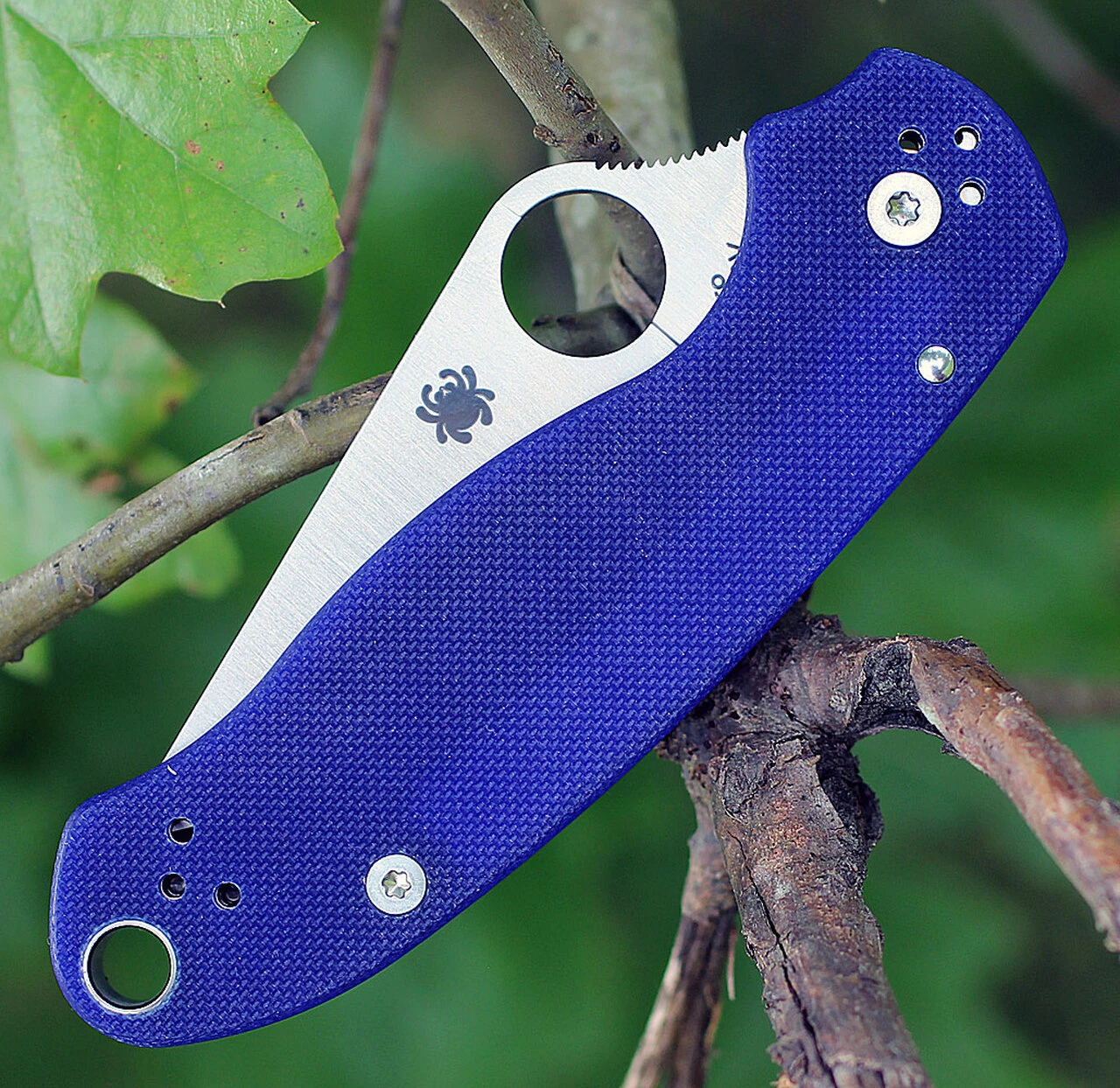 Spyderco Knives Spyderco Para-Military 3 G-10 Dark Blue C223GPDBL, 2.95" CPM S110V Plain Blade 3 Spyderco Knives Spyderco Para-Military 3 G-10 Dark Blue C223GPDBL, 2.95" CPM S110V Plain Blade - Image 3