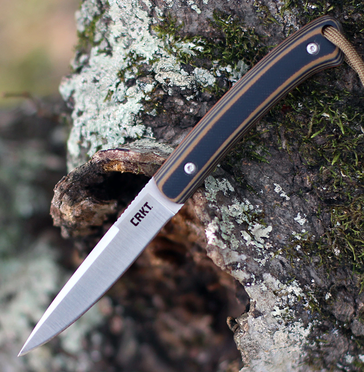 CRKT 2382 Biwa Fixed Blade, 3.02" 8Cr13MoV Satin Plain Blade, G10 Handle w/ Sheath 2 CRKT 2382 Biwa Fixed Blade, 3.02" 8Cr13MoV Satin Plain Blade, G10 Handle w/ Sheath - Image 2