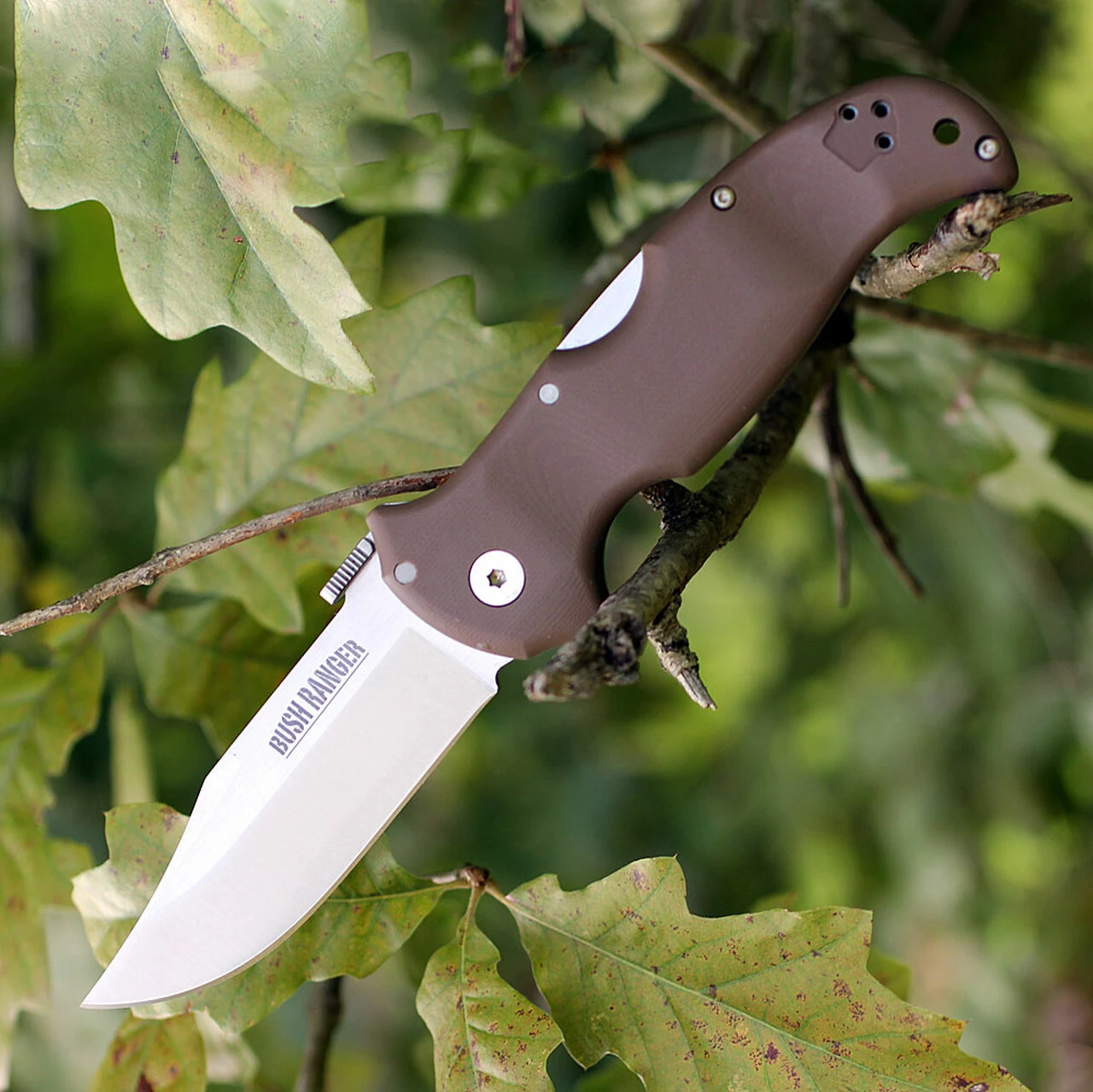 Cold Steel Bush Ranger 31A, 3.5" S35VN Satin Blade, Brown G-10 Handle 1 Cold Steel Bush Ranger 31A, 3.5" S35VN Satin Blade, Brown G-10 Handle