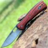 Buck Knives Buck 346RWS Vantage Avid, 3.25" 420HC Plain Blade, Rosewood Dymondwood Handle