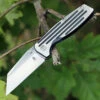 Kizer Cutlery Kizer 3480 Rogue Framelock, 3" CPM-S35VN Wharncliffe Blade, Titanium Handles