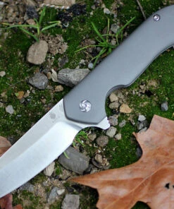 Kizer Cutlery Kizer 3504K2 Guru, 2.97" CPM-S35VN Plain Blade, Titanium Handle