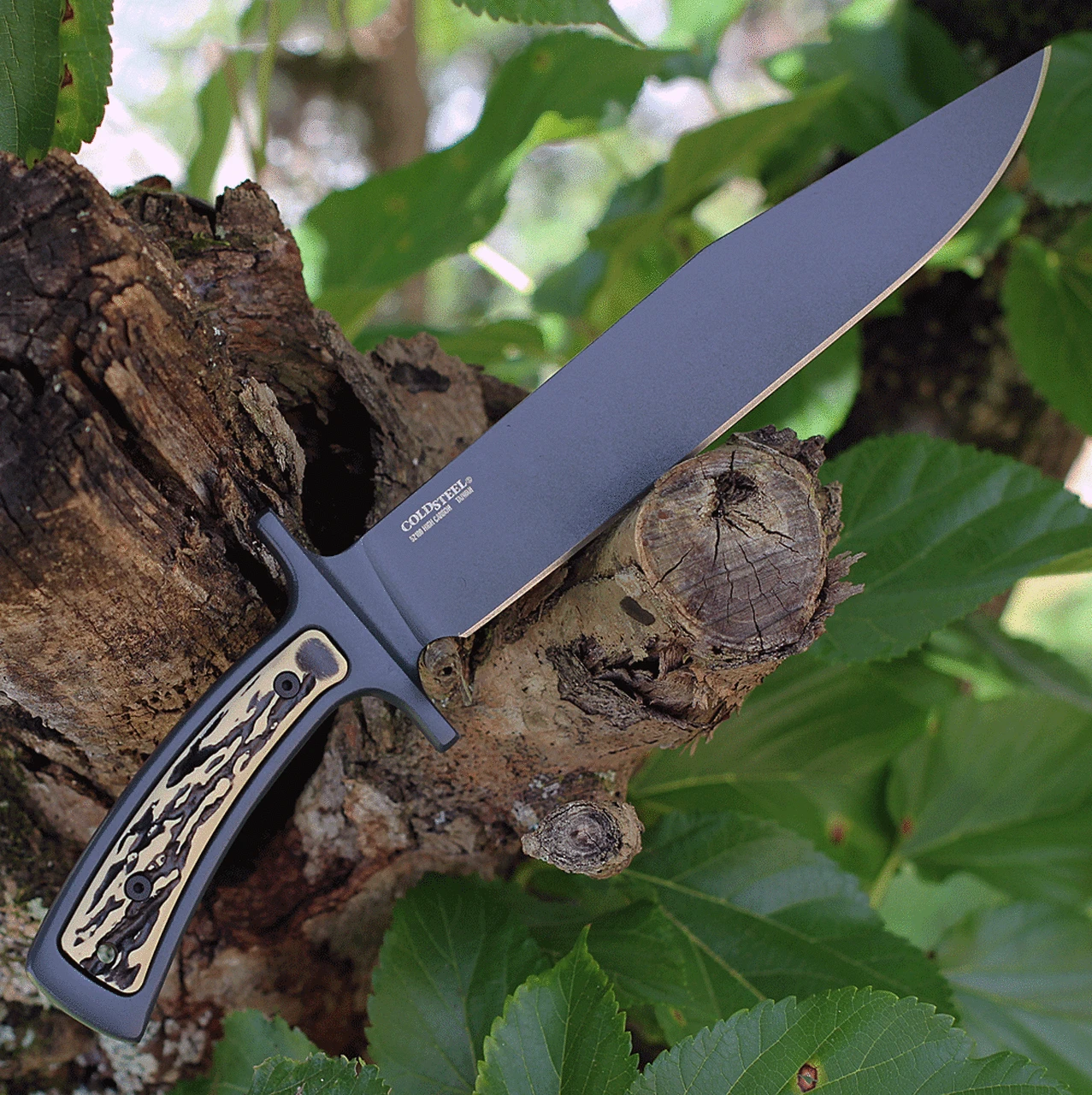 Cold Steel Bowie CS36MK, 9" 52100 Carbon Steel Black Plain Blade, Black Faux Stag Handles 2 Cold Steel Bowie CS36MK, 9" 52100 Carbon Steel Black Plain Blade, Black Faux Stag Handles - Image 2