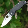 Spyderco Knives Spyderco Native 5 Fluted Carbon Fiber C41CFFP5, 2.95" CPM S90V Plain Blade