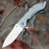 Kizer Cutlery Kizer 4492 Alter Ego, 3.5" CPM-S35VN Plain Blade, Titanium Handle