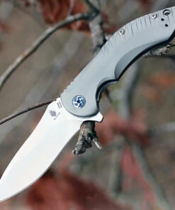 Kizer Cutlery Kizer 4492 Alter Ego, 3.5" CPM-S35VN Plain Blade, Titanium Handle