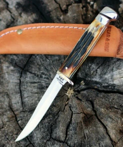 Bear and Son 563R Small Hunter India Stag Bone, 2 3/8" 440 SS Plain Blade, Stag Bone Handle