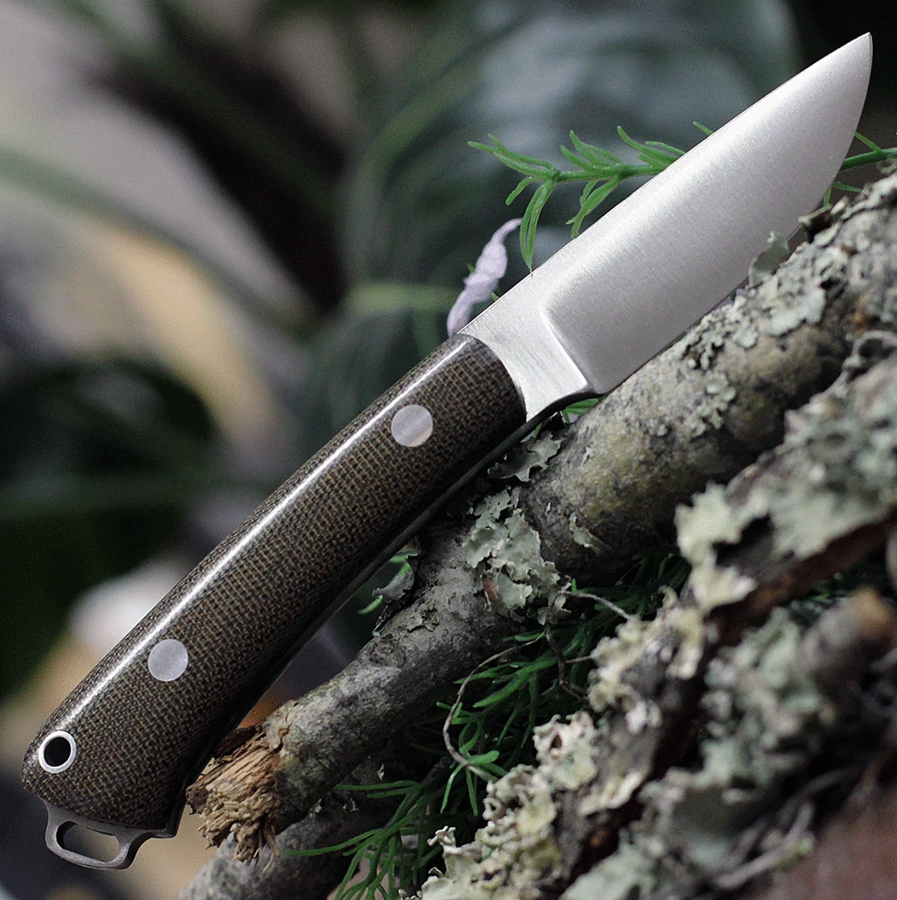 Bark River Knives Bark River Mini Fox River 01023MGC, 2.9" 3V Plain Blade, Green Canvas Micarta Handle 2 Bark River Knives Bark River Mini Fox River 01023MGC, 2.9" 3V Plain Blade, Green Canvas Micarta Handle - Image 2