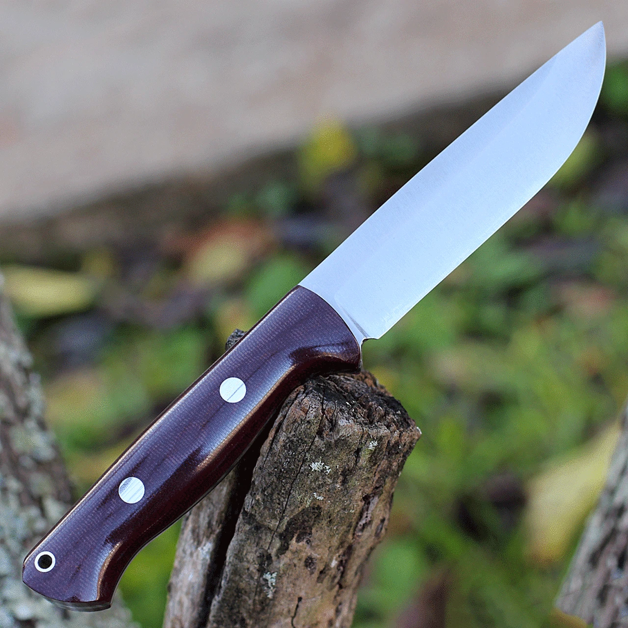 Bark River Knives Bark River Bravo 1.25 LT Rampless - Burgundy Micarta (4.9" CPM-3V) 07-129M-BU 2 Bark River Knives Bark River Bravo 1.25 LT Rampless - Burgundy Micarta (4.9" CPM-3V) 07-129M-BU - Image 2