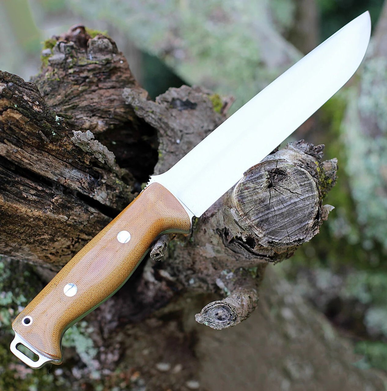 Bark River Knives Bark River Bravo 2 - Natural Canvas Micarta (7" Satin A2) 07-211M-NC 2 Bark River Knives Bark River Bravo 2 - Natural Canvas Micarta (7" Satin A2) 07-211M-NC - Image 2