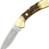 Boker 3000 Stag II - Brown Stag (3.35" 440C) 114000