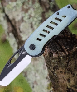 Bestech Knives Explorer - Transparent G-10 (2.87" D2) BG37C