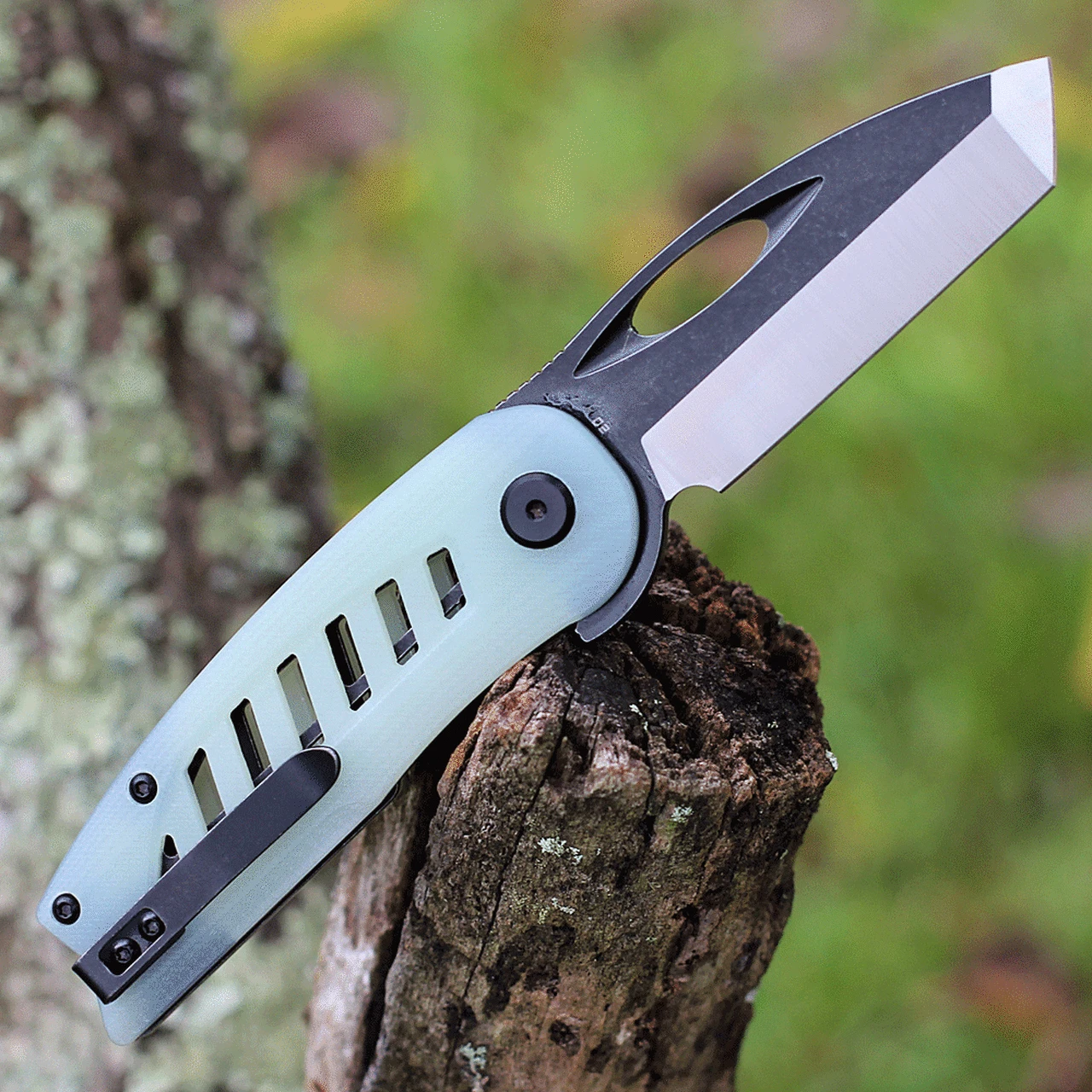 Bestech Knives Explorer - Transparent G-10 (2.87" D2) BG37C 2 Bestech Knives Explorer - Transparent G-10 (2.87" D2) BG37C - Image 2