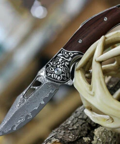 Bestech Draco - Wood / SS Bolster (3.2" Damascus Clip Point) BG48