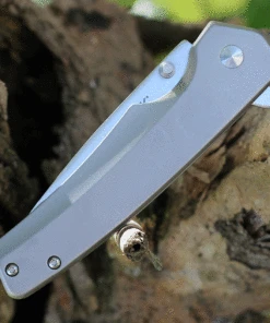 Buck Knives Odessa 0254SSS, 3.125" 7Cr Stainless Steel Satin Drop Point Blade, Gray Stainless Steel Handles -Knifeworks Sales Store BU254SS.3 29107.1625858471