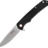 Buck Knives Haxby 0259CFS, 3.875" 7Cr Stainless Steel Satin Drop Point Blade, Carbon Fiber Handles