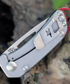 Buck Knives Budgie 0417BKS, 2" CPM-S35VN Satin Drop Point Plain Blade, Black G-10 Handle -Knifeworks Sales Store BU417BKS.2 29276.1625086158