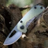 Buck Knives Buck Budgie 2" Satin Jade G-10 Folder 0417GRS-B