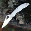 Byrd Knives Byrd BY01P2 HARRIER™ 2 STAINLESS, 3.36" 8Cr13MoV Plain Blade, SS Handle