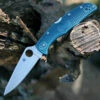 Spyderco Knives Spyderco Endura K390 Lightweight C10FPK390, 3.8" K390 Steel Plain Blade, Blue FRN Handle.