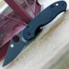 Spyderco Knives Spyderco Para 3 Lightweight Blk FRN (3" CTS BD1N Blk) C223PBBK