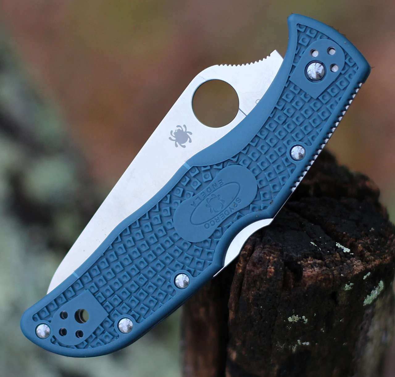 Spyderco Knives Spyderco Endela Lightweight Blue FRN (3.4" K390 Satin) C243FPK390 3 Spyderco Knives Spyderco Endela Lightweight Blue FRN (3.4" K390 Satin) C243FPK390 - Image 3