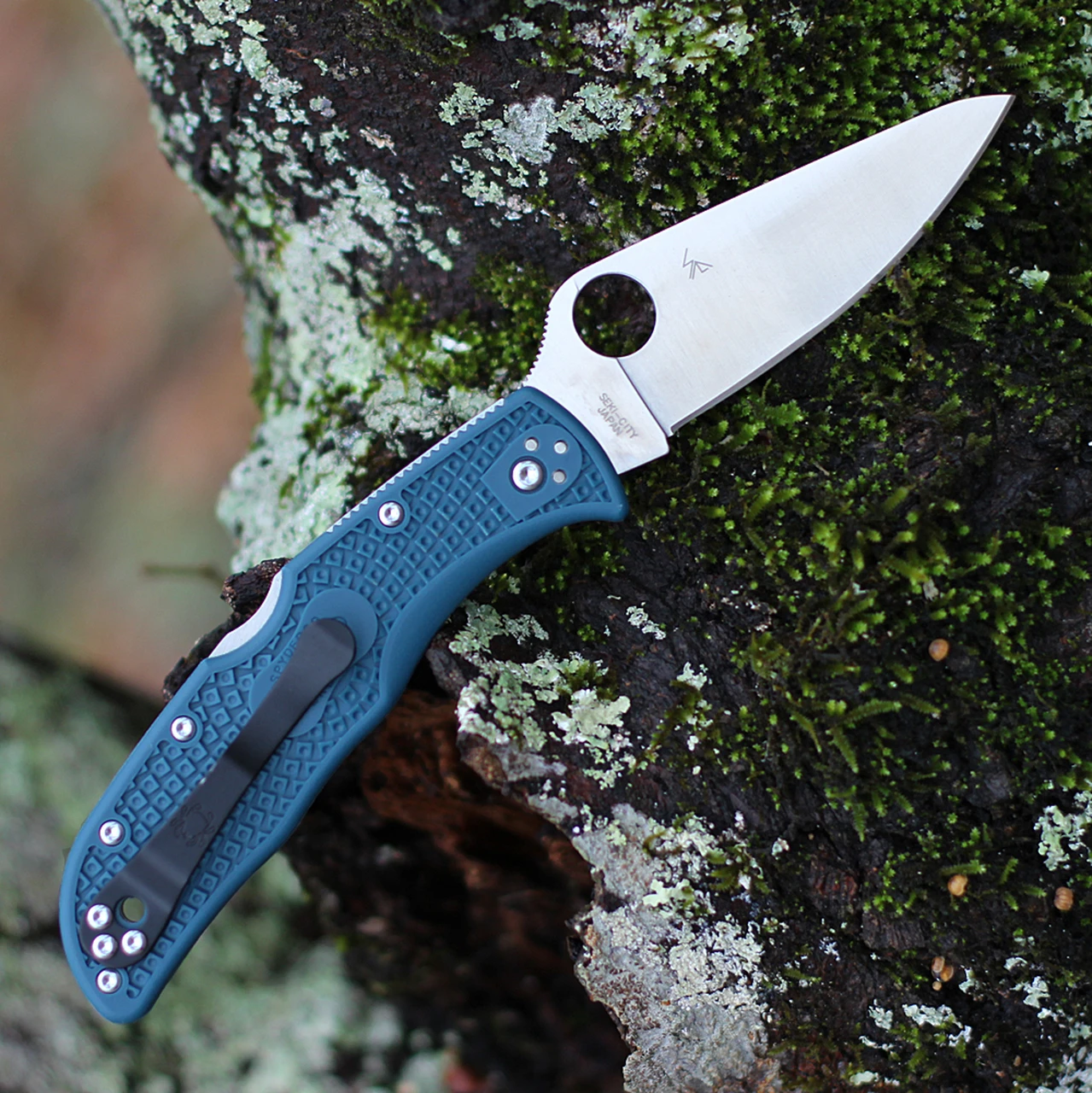 Spyderco Knives Spyderco Endela Lightweight Blue FRN (3.4" K390 Satin) C243FPK390 2 Spyderco Knives Spyderco Endela Lightweight Blue FRN (3.4" K390 Satin) C243FPK390 - Image 2