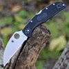 Spyderco Knives Spyderco Endela Wharncliffe - Blk FRN (3.4" VG-10 Satin) C243FPWCBK