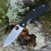 Spyderco Knives Spyderco Astute - Black G10 (3" 8Cr13MoV Satin) C252GP