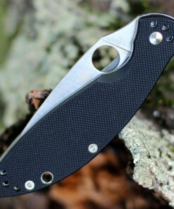 Spyderco Knives Spyderco Astute - Black G10 (3" 8Cr13MoV Satin) C252GP -Knifeworks Sales Store C252GP.4 82891.1596824602