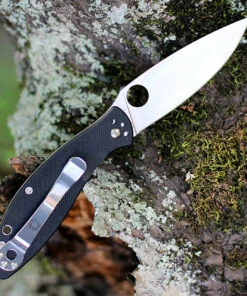 Spyderco Knives Spyderco Astute - Black G10 (3" 8Cr13MoV Satin) C252GP -Knifeworks Sales Store C252GP.5 21192.1596824722