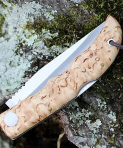 Castillo Knives Castillo Tagus - Curly Birch Wood (3.6" 14C28N Satin) C5CUB -Knifeworks Sales Store C5CUB.3 56059.1639077679