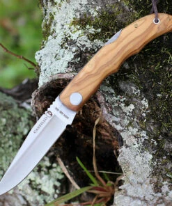 Castillo Knives Castillo Tagus - Olivewood (3.6" 14C28N Satin) C5OLW
