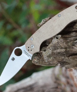 Spyderco Knives Spyderco Para Military 2 C81MPCW2, 3.47" CPM Cru-Wear Satin Plain Blade, Brown Micarta Handle