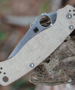 Spyderco Knives Spyderco Para Military 2 C81MPCW2, 3.47" CPM Cru-Wear Satin Plain Blade, Brown Micarta Handle -Knifeworks Sales Store C81MPCW2.5 10123.1635354195