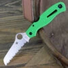 Spyderco Knives Spyderco Atlantic Salt C89FSGR, 3.68" LC200N Satin SpyderEdge Blade, Green FRN Handle