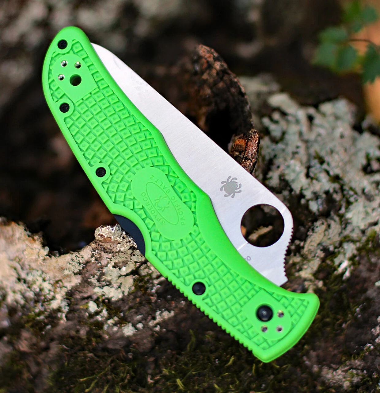 Spyderco Knives Spyderco Pacific Salt 2 C91FSGR2, 3.78" LC200N Satin SpyderEdge Blade, Green FRN Handle 3 Spyderco Knives Spyderco Pacific Salt 2 C91FSGR2, 3.78" LC200N Satin SpyderEdge Blade, Green FRN Handle - Image 3