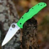 Spyderco Knives Spyderco Pacific Salt 2 C91FPGR2, 3.78" LC200N Satin Plain Blade, Green FRN Handle